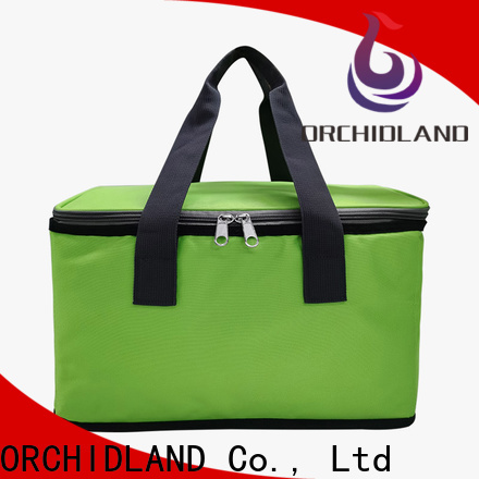 ORCHIDLAND Best cooler bag price for holiday outings